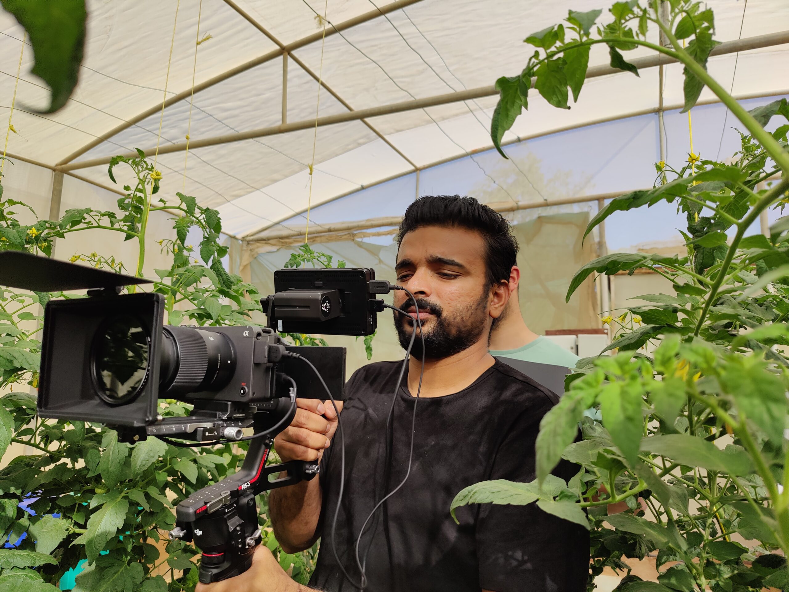 a cameraman standing behind his professional video gear taking shots of the plants in a plastic house